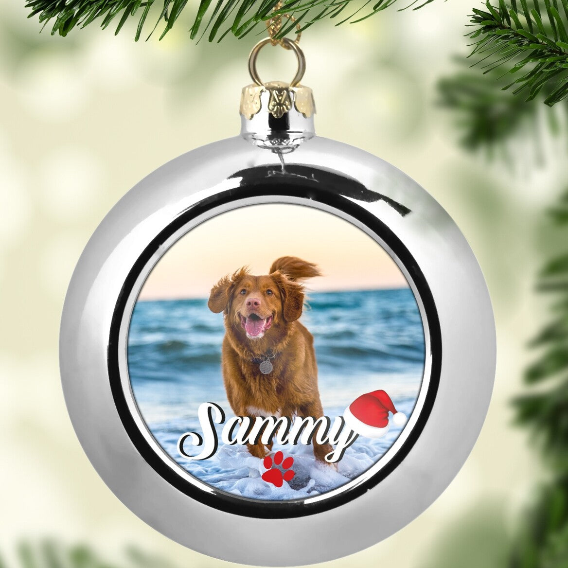 Custom Pet Photo Christmas Bauble "Sammy" from Happy Look | South Africa – A glossy silver Christmas ornament hanging from a tree. The center displays a photo of a happy brown dog (Sammy) on a beach, with his name in white script and a red paw print. Perfect for dog lovers.